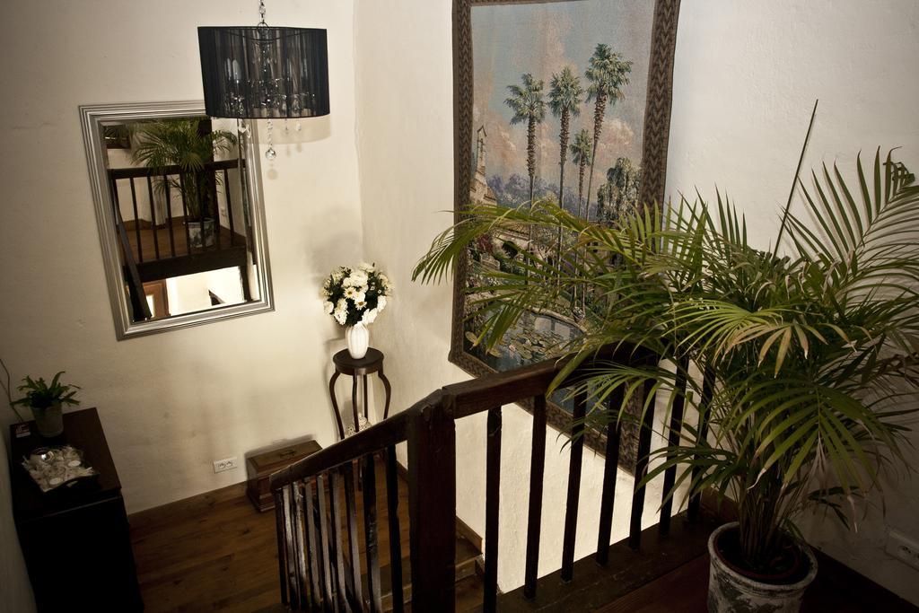 Domaine Le Chec Bed and Breakfast Saint-Ost Εξωτερικό φωτογραφία