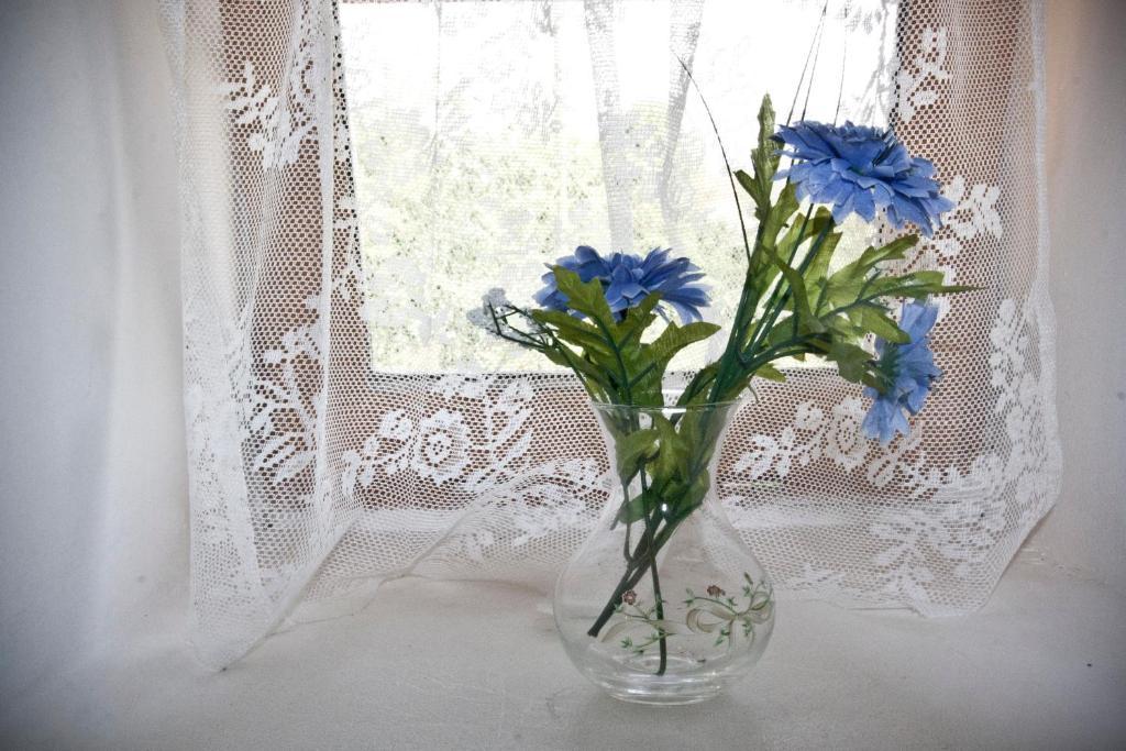 Domaine Le Chec Bed and Breakfast Saint-Ost Εξωτερικό φωτογραφία